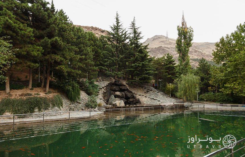 حوض پارک جمشیدیه تهران که آبی سبزرنگ پر از ماهی قرمز دارد و اطرافش با انبوه درختان پوشانده شده‌است.